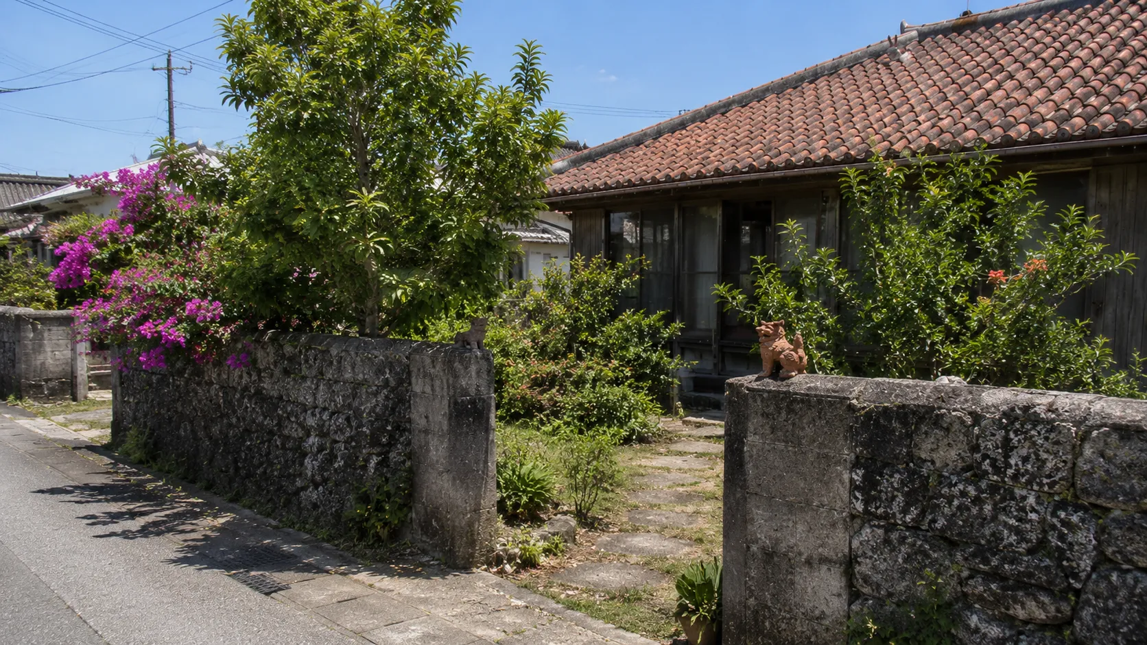 沖縄の住宅の庭まわり