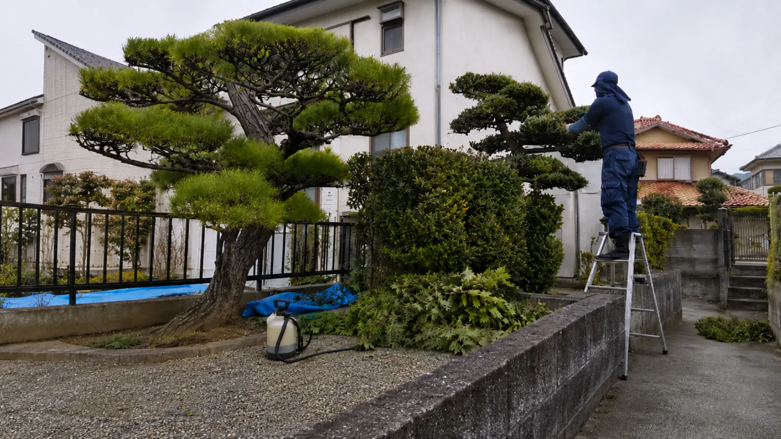 庭木に合わせて剪定作業をしている様子