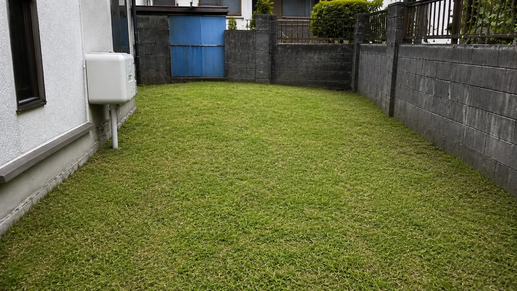 草刈り・除草 after
