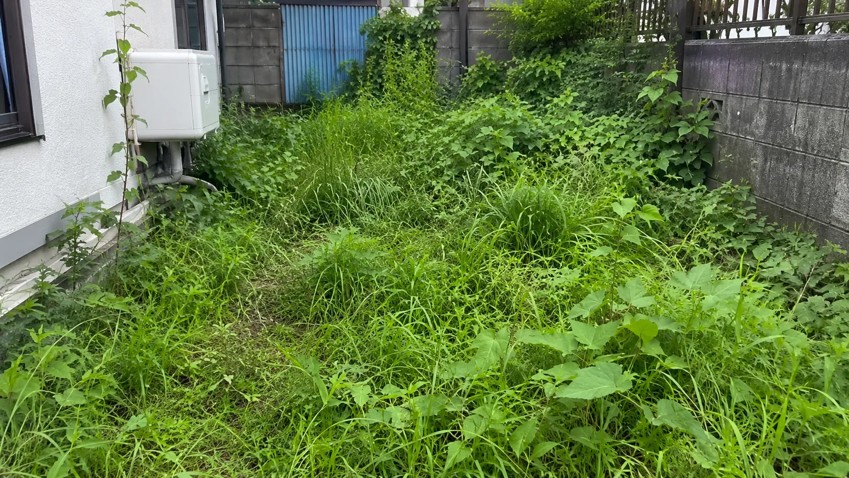 草刈り・除草 before